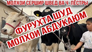 :     ר Ϩ  21  2025.