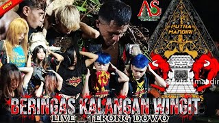 🔴DJ BANTENGAN‼️BERINGAS KALANGAN WINGIT || PUTRA MANDIRI || LIVE TERONG DOWO  // @Aurasingosari
