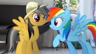 Rainbow Dashs Precious Book - All The Parts Mlp In Real Life