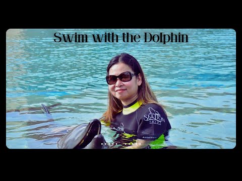 Swim with the Dolphins at Dolphin Bay Atlantis the Palm I Joy – Vibes Vlog