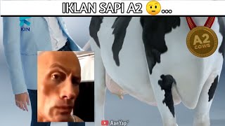 Iklan sapi A2 🤨🗿...