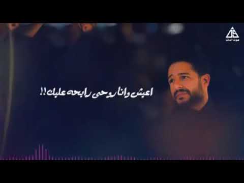 روعه حماقي هو انت مستكتر