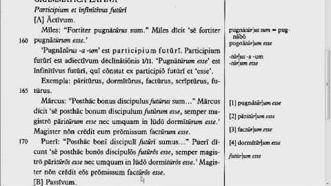 Lingua - 23.G - Reading Tutorial