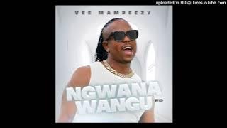 1. VEE MAMPEEZY X KILLORBEEZBEATZ x SPHALAPHALA SAGA MAROTHI - VULE MASANGO