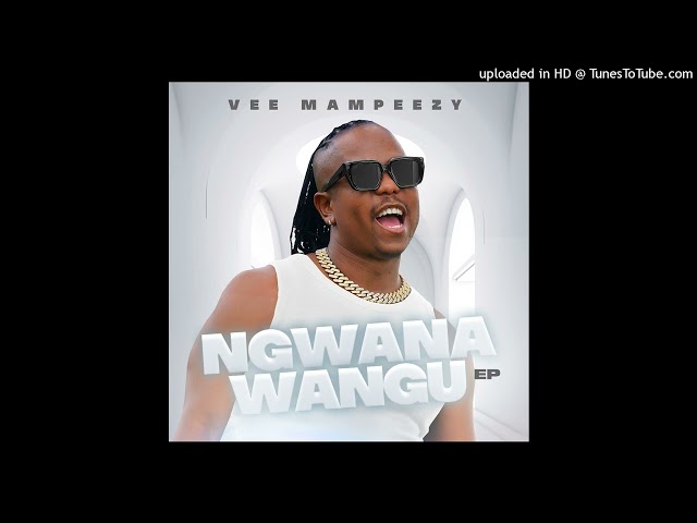 1. VEE MAMPEEZY X KILLORBEEZBEATZ x SPHALAPHALA SAGA MAROTHI - VULE MASANGO (Official Audio) class=