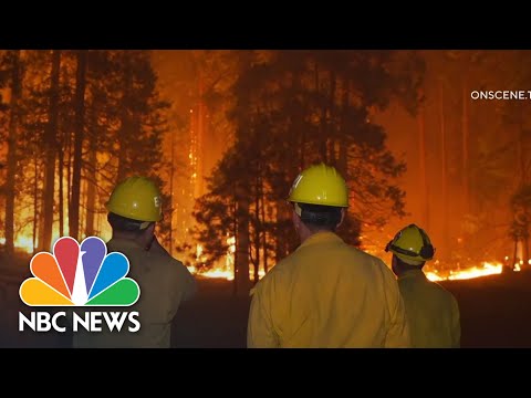 Wildfire Sweeping Through Yosemite National Park, Threatening Iconic Sequoias