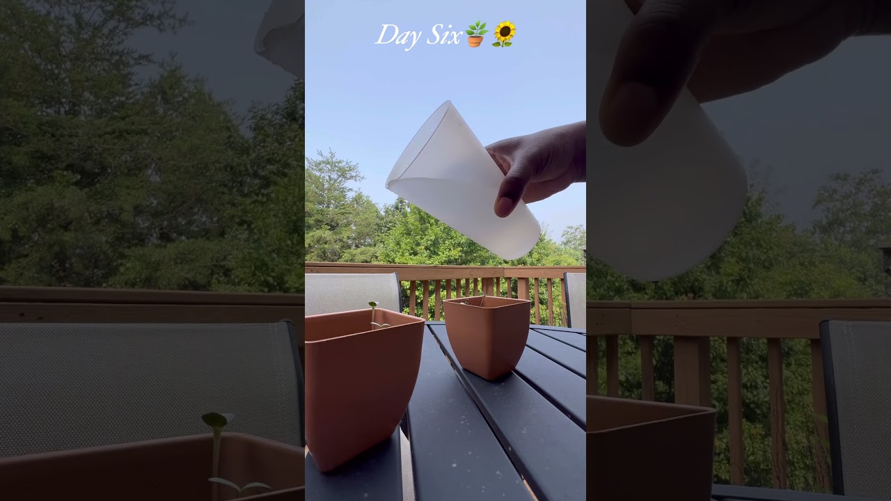 Am I Doing this Correctly? 