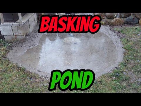 DIY Concrete Basking Pond (part 1)
