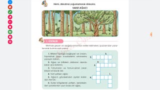 4. Sınıf Türkçe Ders Kitabı,Sakız Ağacı Dinleme Metni Etkinlik Soruları 169-174