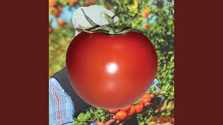 Download Lagu Wonder Room MP3