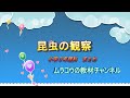 昆虫のまとめ（小３理科）
