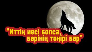 :   ,   