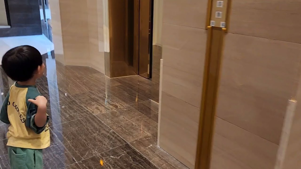 롯데호텔월드 엘리베이터