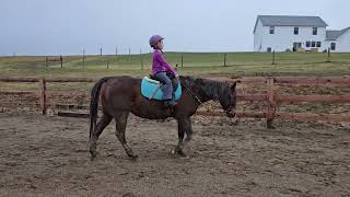 ruby offenberger class 9 small fry English pleasure Jan 29