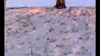 Sledding faceplant