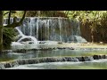 Calming Rainforest Waterfall 4k. Relaxing Nature Sounds-Rainforest Water - White Noise for Sleeping.