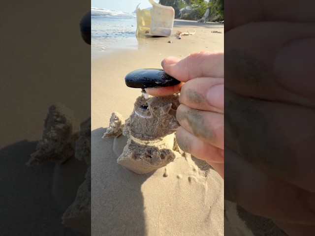 I found this at the beach 😂