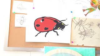 Cool Classes at ESU Part 2 - Insects and Human Life