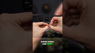 Why Breaking Down Weed is Key for Perfect Blunts