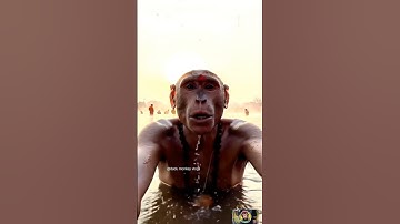 My second Vlog #2 #firstvlog #jabalpurmarket #monkeyvlogs #funnymonkey #shortsvideo