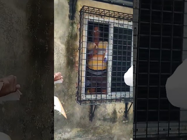 বেহালা পশ্চিম বিধানসভা কেন্দ্রের নির্দল প্রার্থী স্বপন দাস এর প্রচার