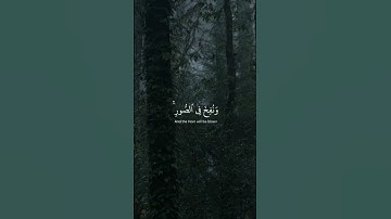 سورة : ق  -  الاَيه: ( 19 )  -  الجزء : ( 26 )  -  الصفحة: ( 519 )