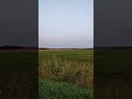 يا حبيبي يا محمد سامي يوسف 