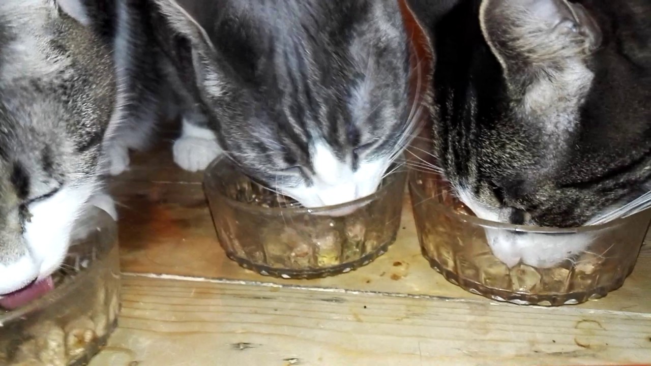 Igor, Strumpan,Valle