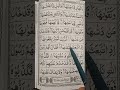 #learnquran #tajweed #quran #تلاوة_خاشعة #تلاوة #alquran #egzonibrahimi #islamic #learning #fyp #art