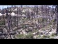 arDrone 2.0 flying in Angeles Crest