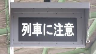 JR西日本 谷川駅 ホーム 列車接近表示器