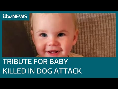 Family pay tribute to 17-month-old Bella-Rae killed by dog in her home | ITV News