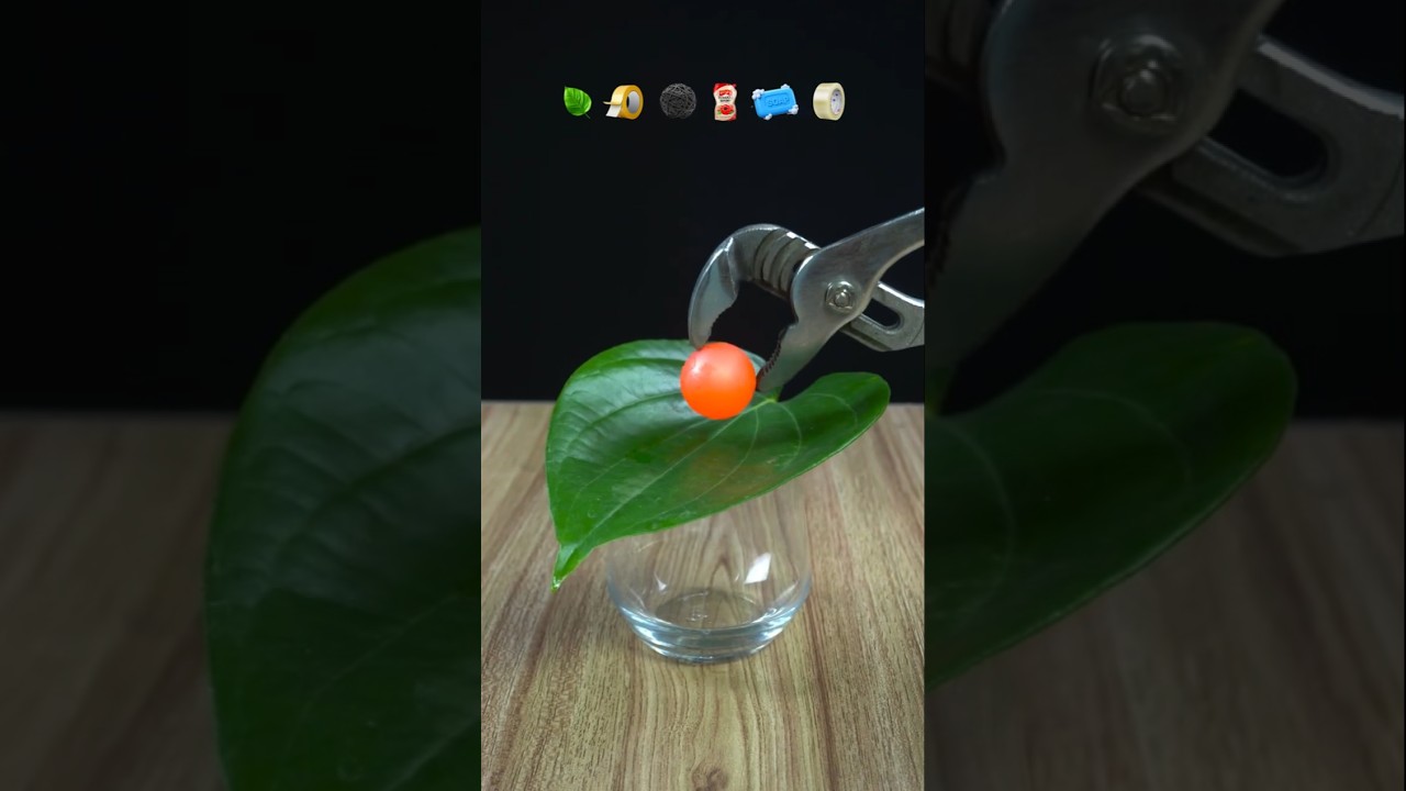 Red hot ball test on leaf 🍃 😱