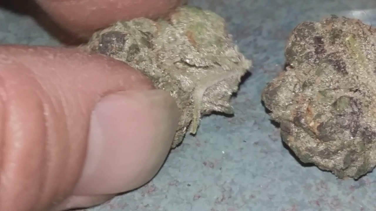 Blueberry Cruffin! Checking out a new strain from Cannatique!