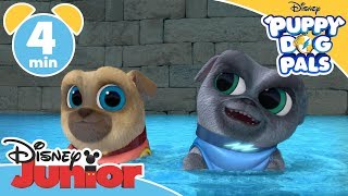 Puppy Dog Pals Saving A Whale Friend - Magical Moment Disney Kids