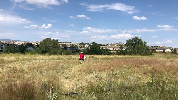 Easiest way to Launch the Dart XL