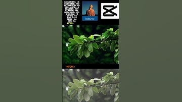 Mini Vlog 03 | Video editing Hemanth ||Pasoori Flute by Lakhinandan Lahon#passorisong #minivlog