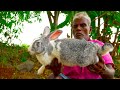 RABBIT CHUKKA | Rabbit Recipe | Muyal sukka Varuval Recipe prepared by uncle