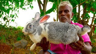 RABBIT CHUKKA | Rabbit Recipe | Muyal sukka Varuval Recipe prepared by uncle