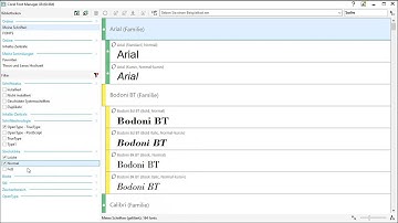 CorelDRAW Graphics Suite X8 - Corel Font Manager (Teil 2)