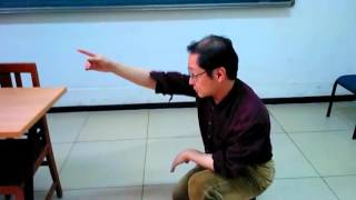 Prelego pri William Auld en Pekino