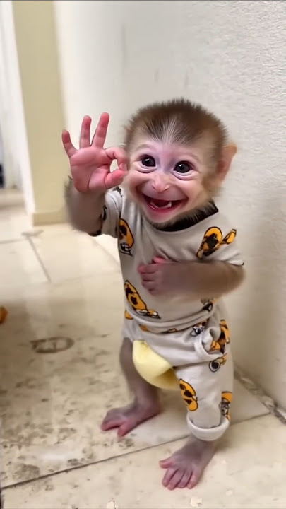 Gol gol ghoome ghoome ! Shaka Laka Boom Boom 😂🎉 #shorts #funny