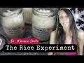 THE POWER OF THOUGHT - Incredible Rice Experiment by Dr. Masaru Emoto