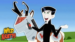Every Creature Rescue Part 16 Protecting The Earths Wildlife New Compilation Wild Kratts