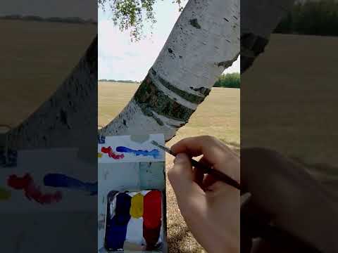 Outdoor Color Matching - Birch Tree