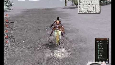 Metin2 part 1 der WEG