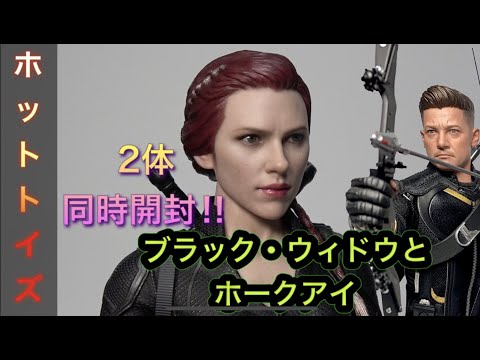 エンドゲーム版 ホークアイ ブラックウィドウ ホットトイズ ホット
