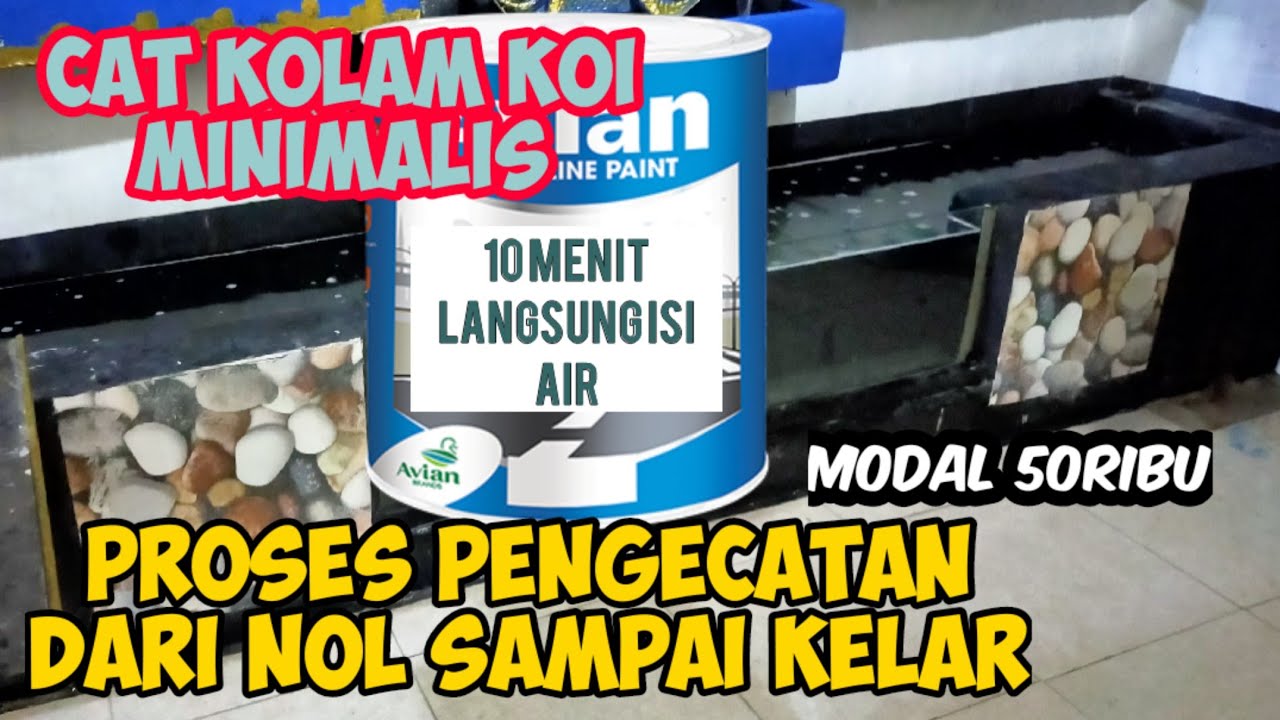 Proses Pengecatan Kolam Koi Minimalis Dengan Cat Avian Roadline Paint. 10 Menit Langsung Isi Air