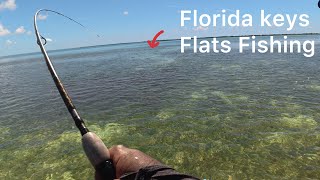 How to catch Big Mangrove Snappers on flats in Florida keys.