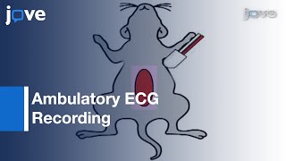 Ambulatory ECG Recording In Mice l Protocol Preview